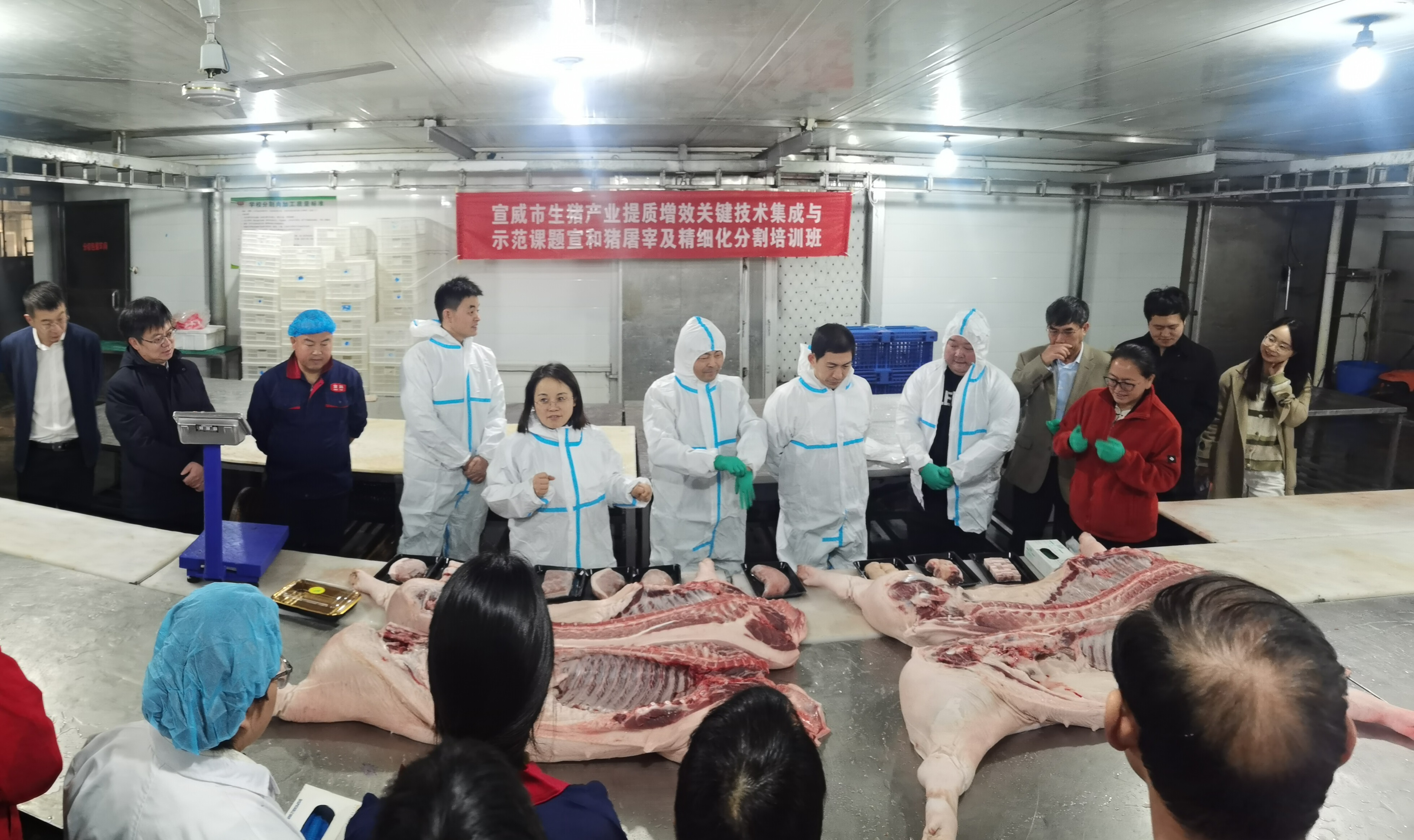 6de08aa5e5da096c3c22f83d7135e90 - 副本.jpg